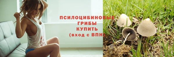 прущая мука Алзамай