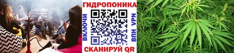 Бошки марихуана THC 21%  Бирюч 